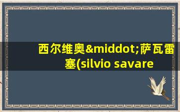 西尔维奥·萨瓦雷塞(silvio savarese)